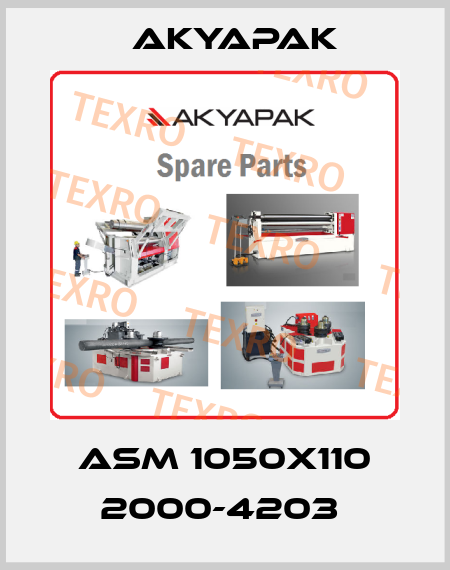 ASM 1050X110 2000-4203  Akyapak