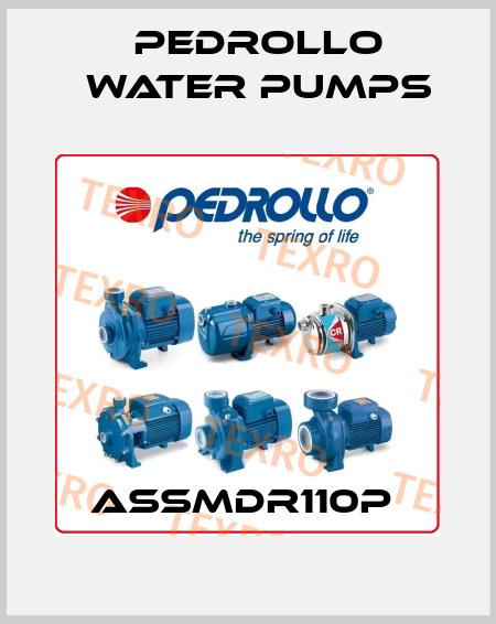 ASSMDR110P  Pedrollo Water Pumps
