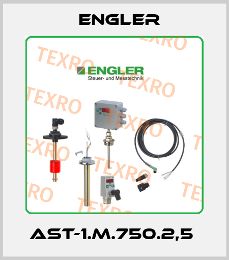 AST-1.M.750.2,5  Engler