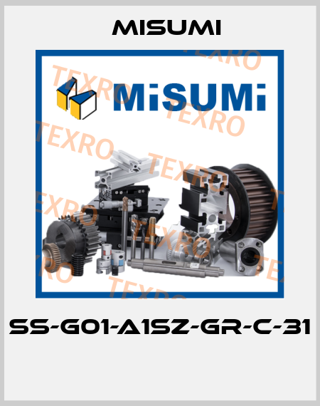 SS-G01-A1SZ-GR-C-31  Misumi
