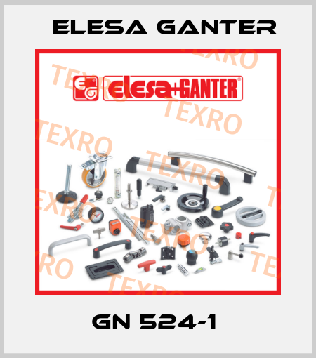 GN 524-1  Elesa Ganter