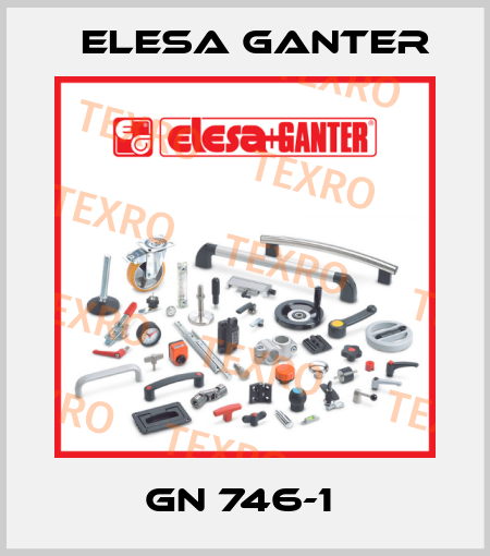 GN 746-1  Elesa Ganter
