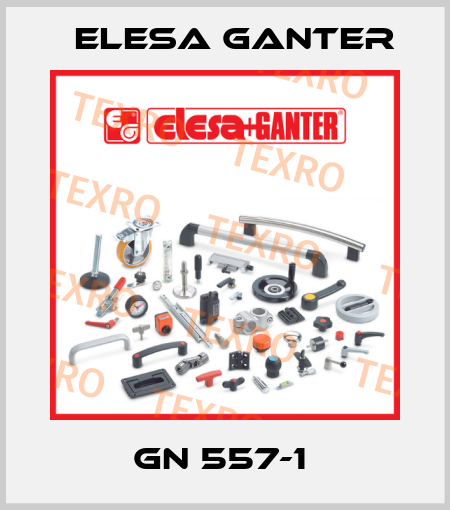 GN 557-1  Elesa Ganter