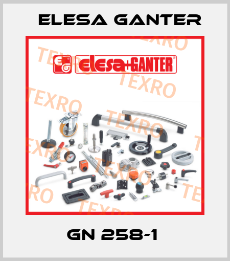 GN 258-1  Elesa Ganter