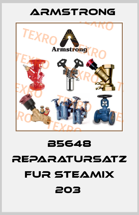 B5648 REPARATURSATZ FUR STEAMIX 203  Armstrong