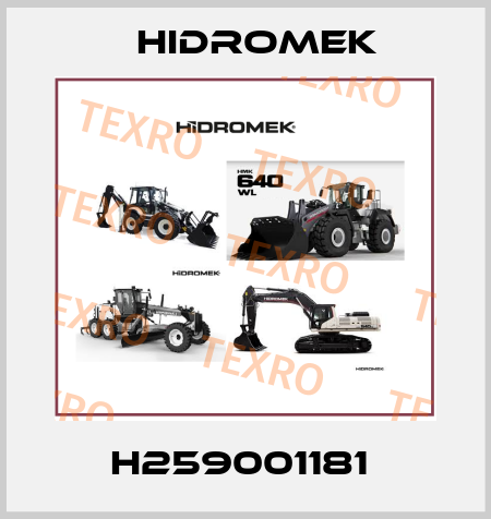 H259001181  Hidromek