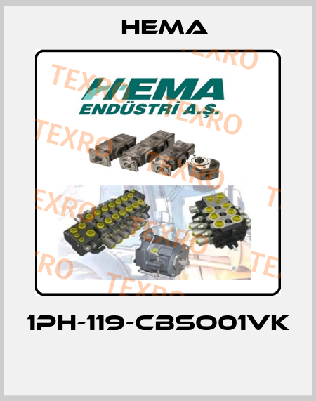 1PH-119-CBSO01VK  Hema