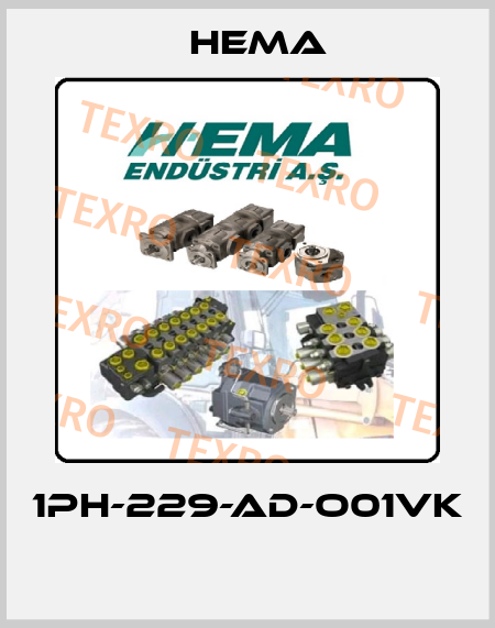 1PH-229-AD-O01VK  Hema