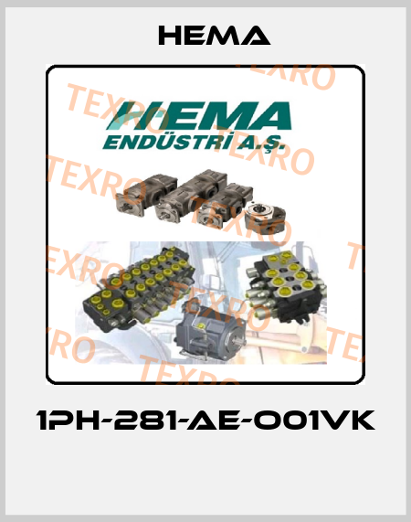 1PH-281-AE-O01VK  Hema
