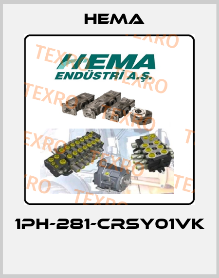 1PH-281-CRSY01VK  Hema