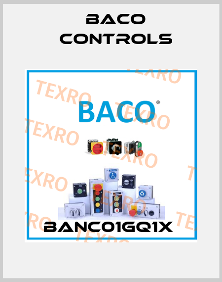 BANC01GQ1X  Baco Controls