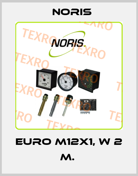 Euro M12x1, w 2 m.  Noris
