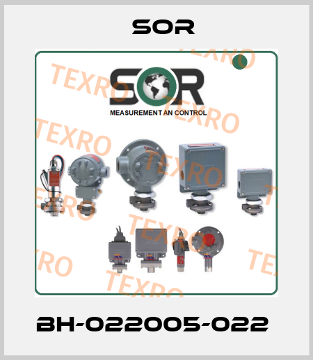 BH-022005-022  Sor