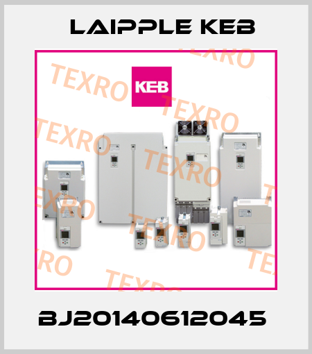 BJ20140612045  LAIPPLE KEB