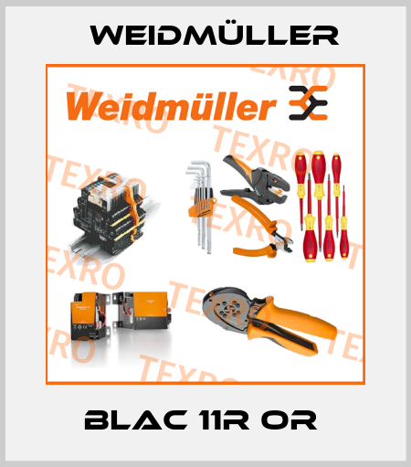 BLAC 11R OR  Weidmüller