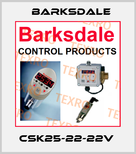 CSK25-22-22V  Barksdale