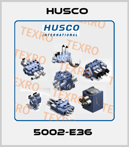 5002-E36  Husco