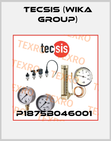 P1875B046001  Tecsis (WIKA Group)