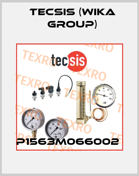 P1563M066002  Tecsis (WIKA Group)