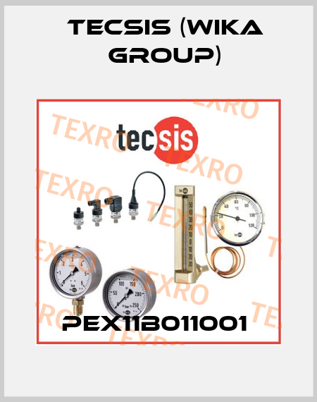 PEX11B011001  Tecsis (WIKA Group)