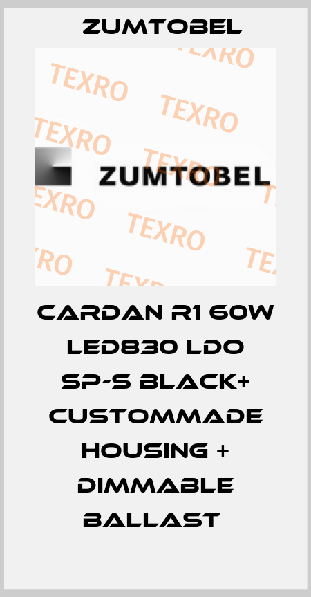 CARDAN R1 60W LED830 LDO SP-S BLACK+ CUSTOMMADE HOUSING + DIMMABLE BALLAST  Zumtobel