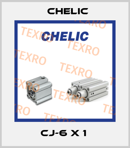 CJ-6 X 1  Chelic