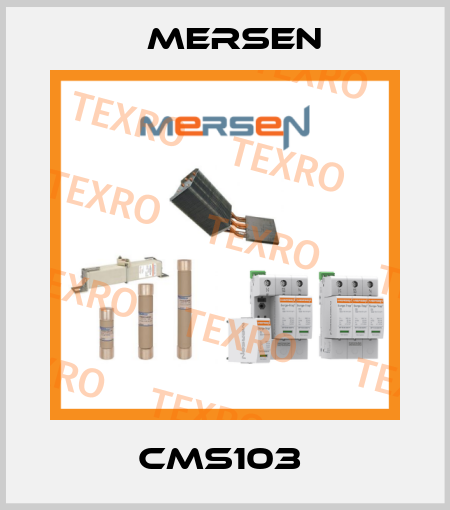 CMS103  Mersen