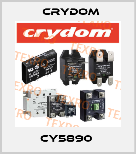 CY5890  Crydom