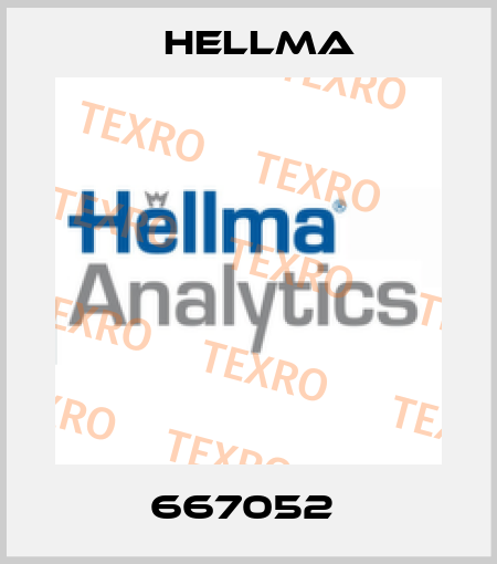 667052  Hellma
