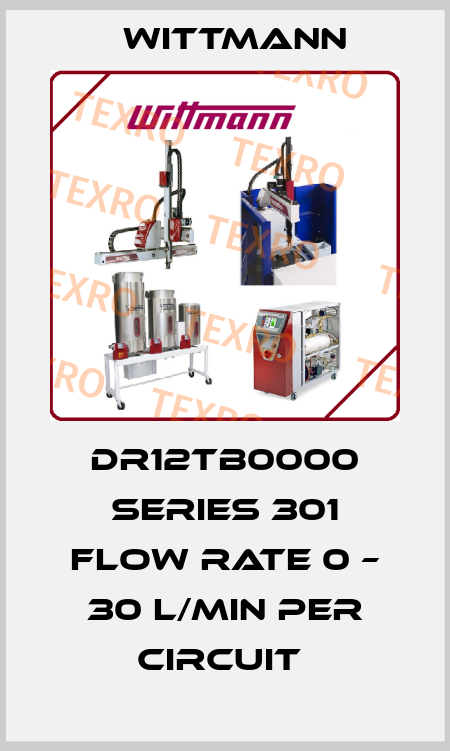 DR12TB0000 SERIES 301 FLOW RATE 0 – 30 L/MIN PER CIRCUIT  Wittmann