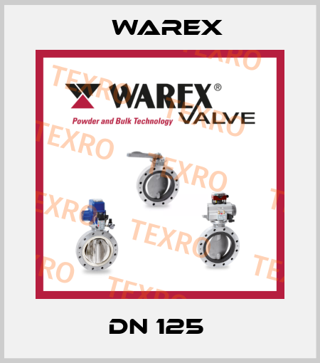 DN 125  Warex