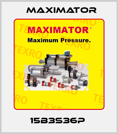 15B3S36P  Maximator