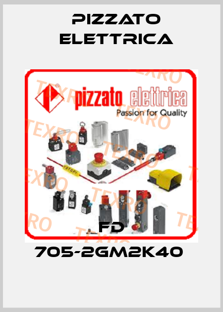 FD 705-2GM2K40  Pizzato Elettrica