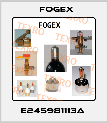 E245981113A  Fogex