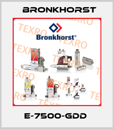 E-7500-GDD  Bronkhorst