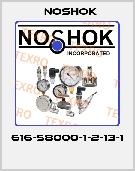 616-58000-1-2-13-1  Noshok