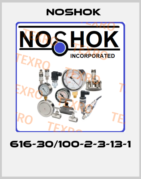 616-30/100-2-3-13-1  Noshok
