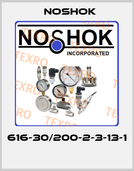 616-30/200-2-3-13-1  Noshok