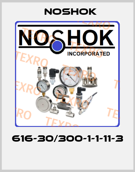 616-30/300-1-1-11-3  Noshok