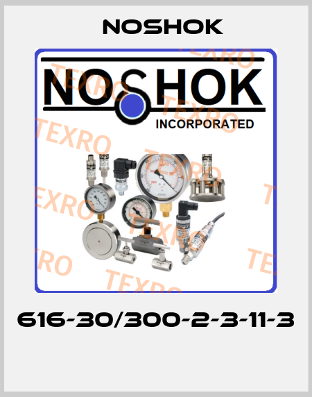 616-30/300-2-3-11-3  Noshok