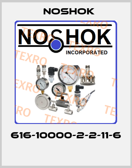 616-10000-2-2-11-6  Noshok