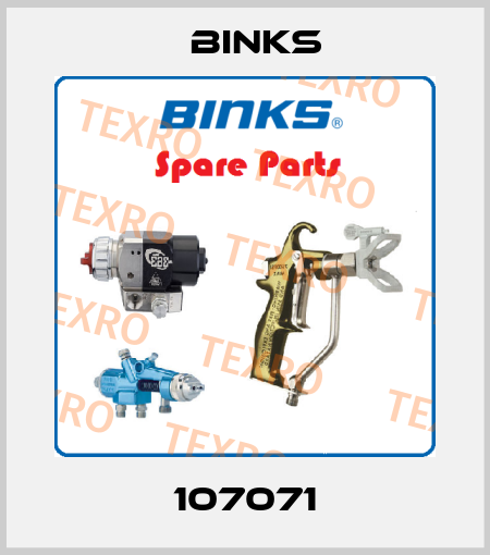 107071 Binks