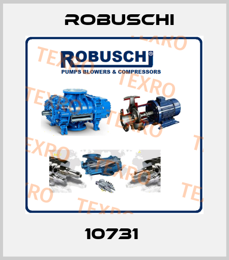 10731  Robuschi