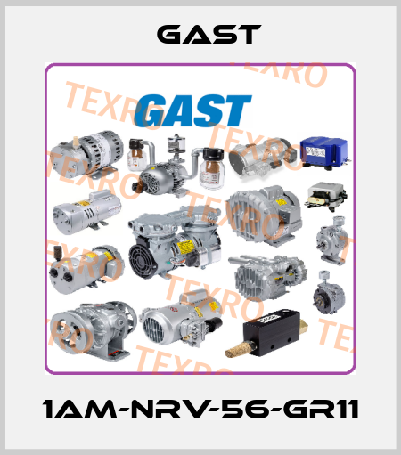 1AM-NRV-56-GR11 Gast