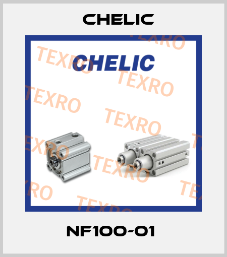 NF100-01  Chelic