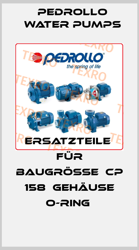 Ersatzteile  für Baugröße  CP  158  Gehäuse O-Ring  Pedrollo Water Pumps