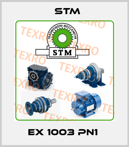 EX 1003 PN1  Stm