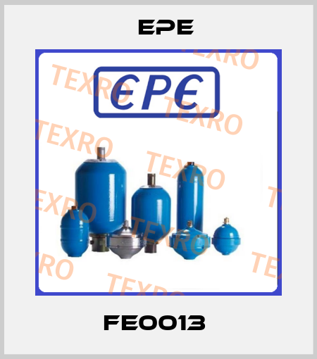 FE0013  Epe