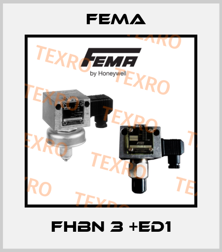 FHBN 3 +ED1 FEMA