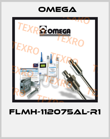FLMH-112075AL-R1  Omega